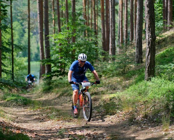 Comment l'entraînement du corps entier améliore la posture